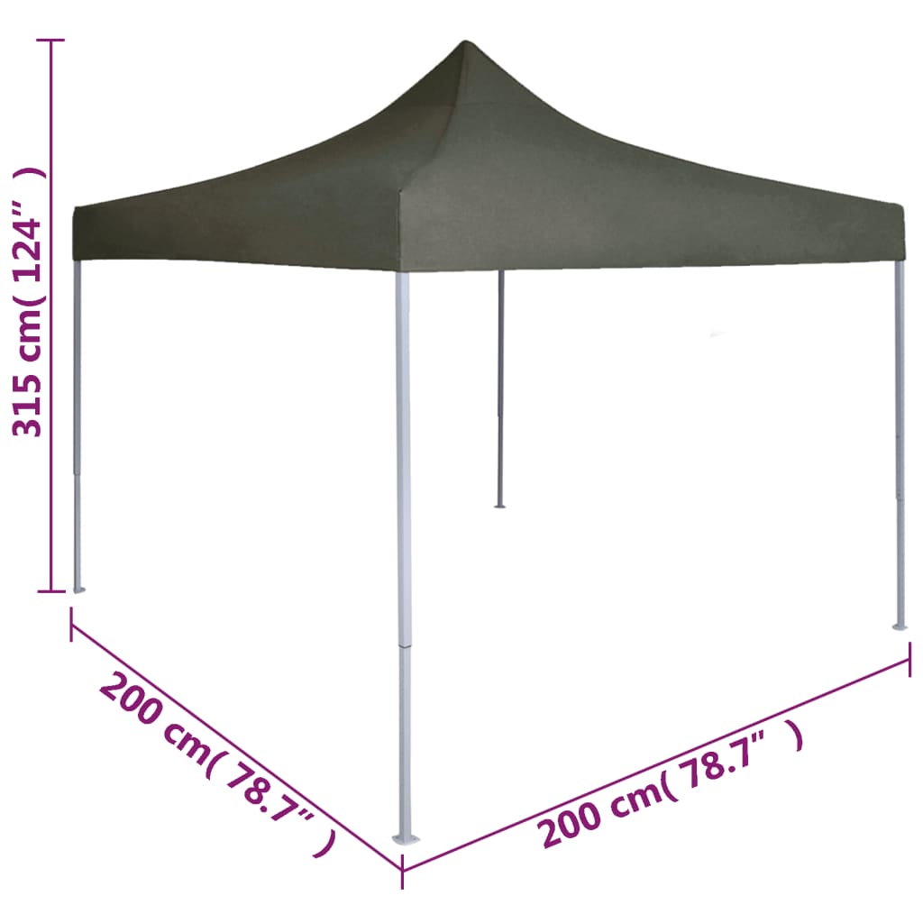 Professional Folding Party Tent 2x2 m Steel Anthracite