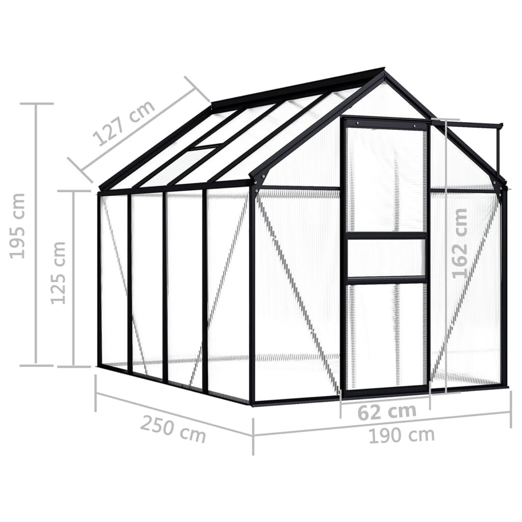 Greenhouse Anthracite Aluminium 4.75 m²