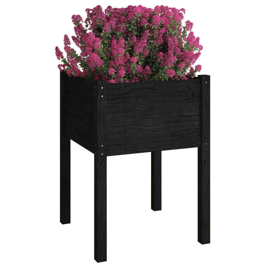 Garden Planters 2 pcs Black 50x50x70 cm Solid Pinewood