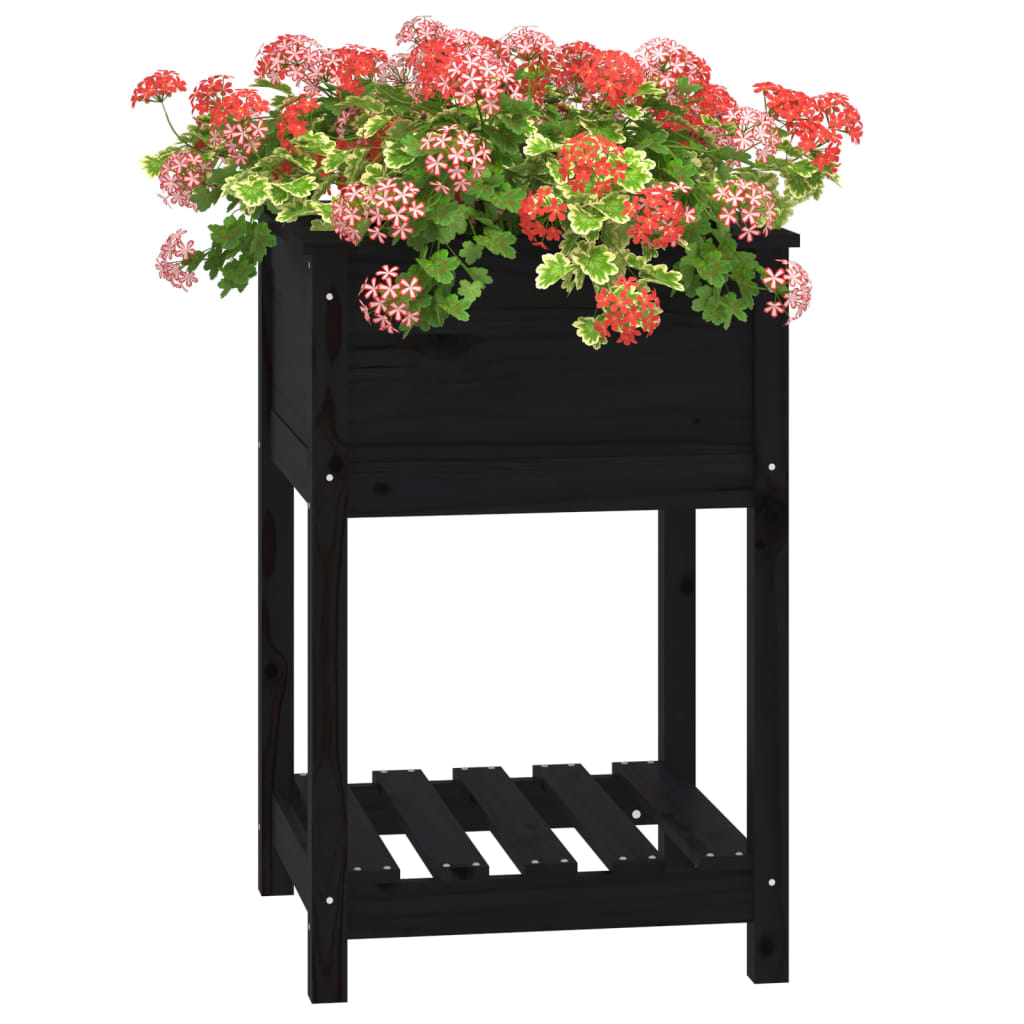 Planter with Shelf Black 54x54x81 cm Solid Wood Pine