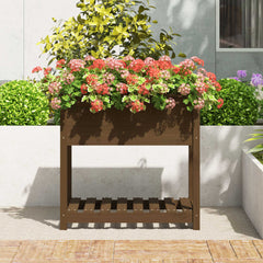 Planter with Shelf Honey Brown 82.5x54x81 cm Solid Wood Pine